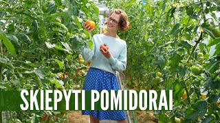 Skiepyti pomidorai nu žinokit verta pabandyti [upl. by Myke878]