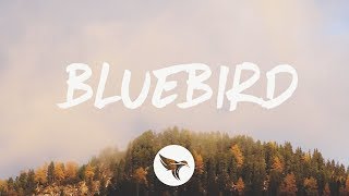 Miranda Lambert  Bluebird Lyrics [upl. by Neeluqcaj]