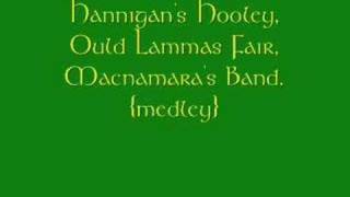 Hannigans Hooley medley [upl. by Ori]