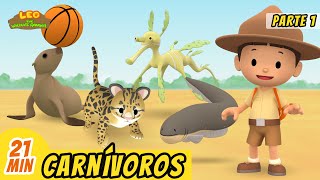 Carnívoros Episodio Compilación Parte 16 Español  Leo El Explorador  Animación  Familia [upl. by Aketahs]