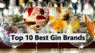 Top 10 Best Gin Brands 2019 [upl. by Dav]