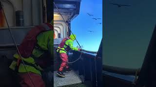 Alaskan crab fishermen battle the fierce Alaskan ocean storm abandonedship shipwrecked alaska [upl. by Haisi]