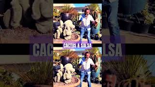 What he does with cactus blows the mind cacti shorts salsa [upl. by Lednam]