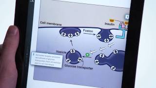 Lippincotts Illustrated Reviews Biochemistry  Harvey amp Ferrier [upl. by Ennad398]