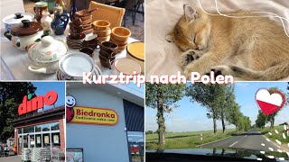 Einkaufen in Polen mit Mama 🇵🇱 Unser neues Familienmitglied 😍 VLOG [upl. by Charlean]