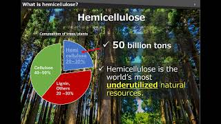 COP29 HEMIX™ bioplastics Hemicellulose Ltd presentation ver3 [upl. by Intirb561]