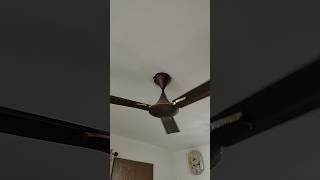 Ceiling Fan 😩 Crompton Fan fan fansound shorts shortsvideo viral [upl. by Erminia]