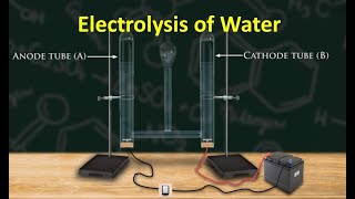 Electrolysis of Water [upl. by Rehpotsihrc302]