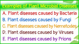 Examples of Plant Microbial DiseasesDiseases caused by BacteriaFungiNematodesVirusesPrions [upl. by Tannenwald380]