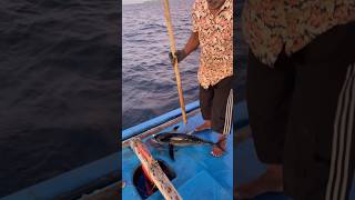 മീനിനെ ബോധം കെടുത്തിയത് കാണണോ shortsfeed malayalamfishing fishing malayalamfishingvideo fish [upl. by Vokay]