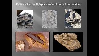 Paluxy Fossil Trackways of Dinosaur and Human Footprints [upl. by Calla585]