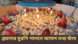 ব্রয়লার মুরগি পালনে আসল তথ্য ফাঁস 2023  polti murgi farm business 2023  উদ্যোক্তার কথা [upl. by Pederson]