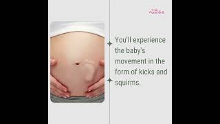 6 Month Pregnant Symptoms amp Baby Development  Six Month Pregnancy Baby Movement [upl. by Ahker]