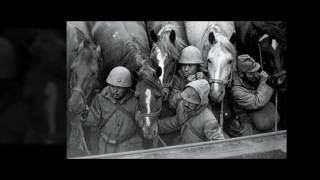 WAR HORSES TRIBUTE BY DIGITAL HORSE  EQUESTRIAN SOCIAL MEDIA [upl. by Ecnerol556]