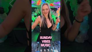 Sunday Vibes Music music sunday techno summer summermusic rave streetparade [upl. by Jamille]