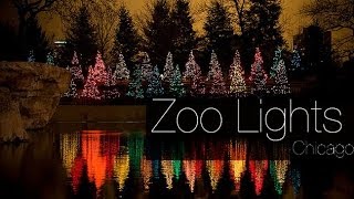 Zoo Lights Chicago  Фестиваль огней в зоопарке Чикаго [upl. by Hildegard]