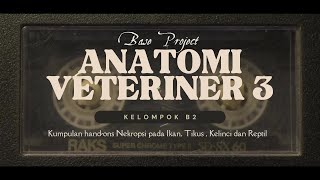 BASE PROJECT ANATOMI VETERINER 3  KELOMPOK B2  2023B [upl. by Thompson472]