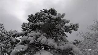 Winter im Wienerwald 10012019 Winter in Vienna Forest [upl. by Ycnaf]