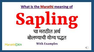 Sapling Meaning in Marathi  Sapling म्हणजे काय  Sapling in Marathi Dictionary [upl. by Tillio]