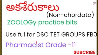 అకశేరుకాలు practice bits useful for DSC TET GROUPS PHARMACIST FBO [upl. by Earal627]