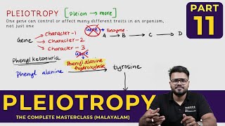 Mastering PLEIOTROPY  Principles of Inheritance and Variations  CLASS 11 [upl. by Ntsyrk]