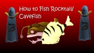 How to fish RocktailCavefish and a way to maximize xp [upl. by Varian]