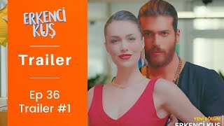 Erkenci Kus ❖ Ep 36 Trailer 1 ❖ Can Yaman amp Demet Ozdemir ❖ English ❖ 2019 [upl. by Jaime]