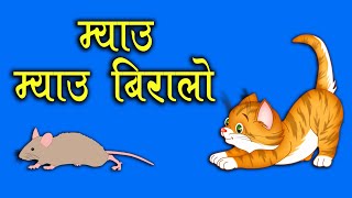 Meow Meow Biralo  Myau Myau Biralo  म्याऊँ म्याऊँ बिरालो  sanananibabu [upl. by Kilroy]