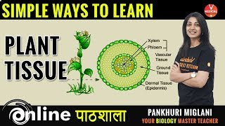 BIOLOGY  Learn Plant Tissue Concept In Just 30 Minutes  By Pankhuri [upl. by Ernestine]