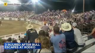 Rodeo bull jumps over arena fence injuring 3 people including Oregon sheriffs deputy [upl. by Eerolam]