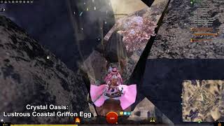 GW2 Open Skies Crystal Oasis Griffon Eggs Guide [upl. by Legin935]