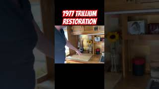 Vintage Fiberglass Trailer Restoration  1977 Trillium  OH WOW shorts [upl. by Etterrag656]