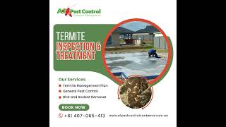 Are Termites Eating Away at Your Property [upl. by Panta]