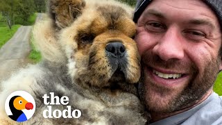 Blind Forever Puppy Melts In His New Dad’s Arms  The Dodo [upl. by Cressida]