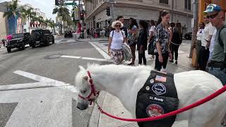 Lt Rowdy visiting Rodeo Drive 1 of 13 92124 [upl. by Neehar131]