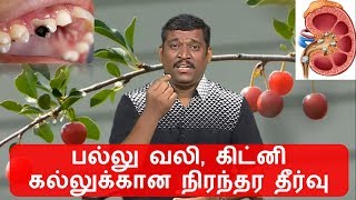 palvali treatment in tamil  healer baskar kidney stones  healer baskar maru [upl. by Natalee858]