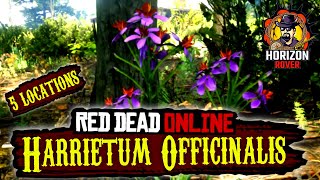 RDR2 Harrietum Officinalis 5 Locations and Vitalism Tree location in Red Dead Online  RDR2 Online [upl. by Diana950]