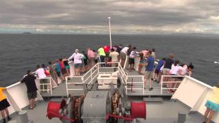 Dolphins Bow Riding National Geographic Endeavour [upl. by Aniwde]