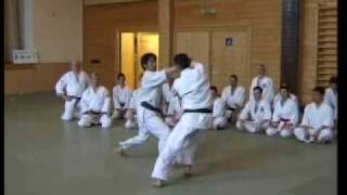 Tanto Randori No Kata1 [upl. by Odnalref505]