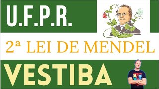 RESOLUÇÃO EXERCÍCIO VESTIBULAR SEGUNDA LEI DE MENDEL SEGREGAÇÃO INDEPENDENTE DE LINHAGENS PURAS [upl. by Luba]