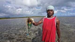 Fishing For Parrot Fish During Low Tide🐠🇫🇯 [upl. by Peppi]