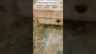 Biochemistry Practical Analysis of Abnormal Urine in 1st year MBBS mbbs medico shorts biochem [upl. by Anyad]