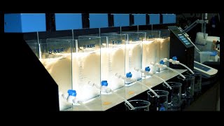 Jar Test Procedure for Water Treatment [upl. by Rostand]