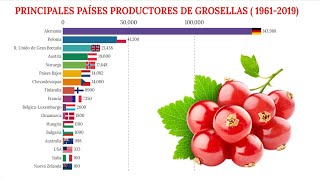 Los principales países productores de GROSELLAS en el MUNDO 🍒 [upl. by Ebeohp12]