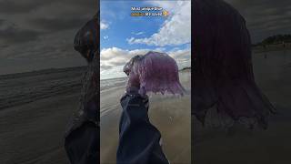 Rescue Mission Saved rare venomous Blue Jellyfish 🥺 [upl. by Jarl]