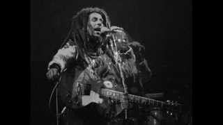 Bob Marley amp The Wailers quot Live Zurich 80 quot HD 12 [upl. by Aitsirt]