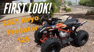 First Look 2021 Kayo Predator 125 Sport Quad  Review and Detailed Breakdown [upl. by Dela]