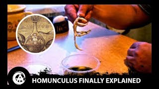 What Even is a Homunculus How to Create a Homunculus Using Alchemy [upl. by Hanaj]