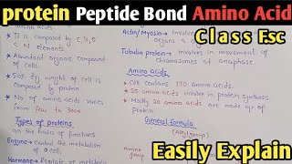 Proteins  Amino Acid Formula  Peptide Bond  Class 11 Biology UrduHindi [upl. by Ettezel]