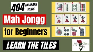 MAH JONGG for Beginners 11  American  Learning the Tiles NMJL Lessons How to Play Mahj [upl. by Anesusa]